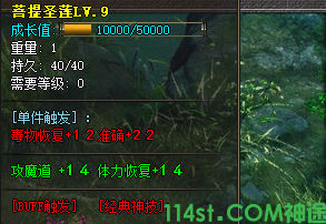 圣莲装备截图