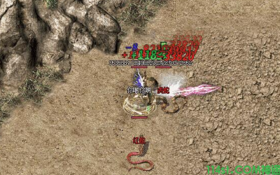 在毒蛇山谷玩家应该注意哪些事项？