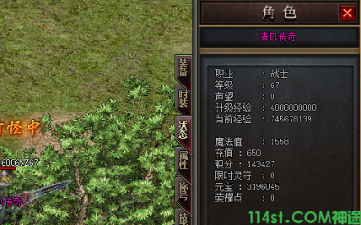 新开神域神途玩家最高等级是多少？